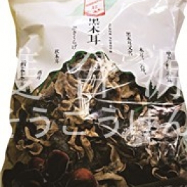 F110 Black Fungus(Agaric)