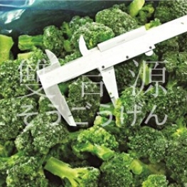 J008 Broccoli